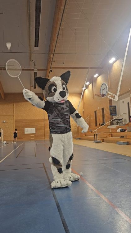 NOUVEAUTE !!! LE CRENEAU MINI BAD ARRIVE SUR BRINDAS ! 🏸